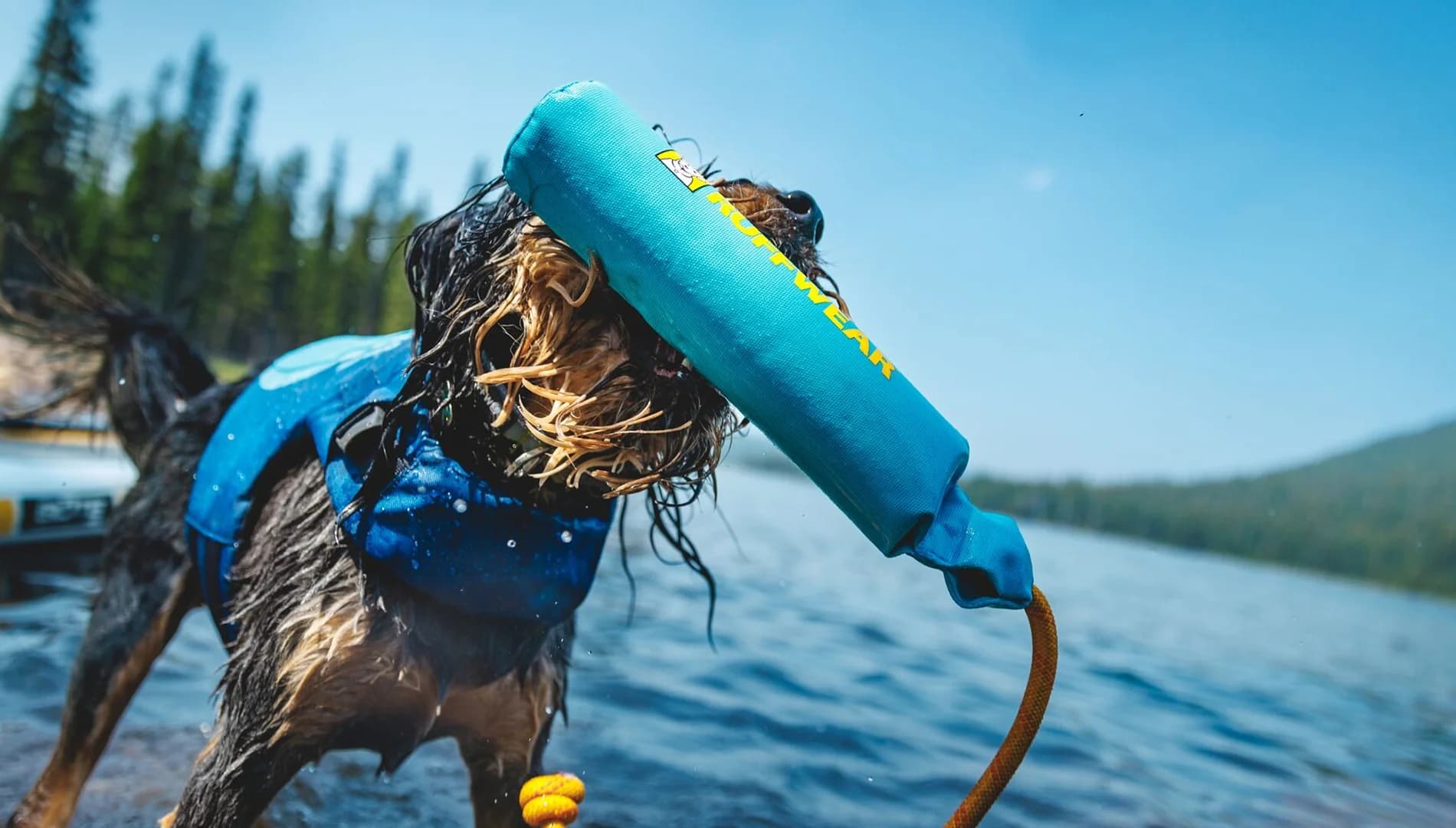A wet dog in a blue Ruffwear life jacket shakes a Ruffwear throw toy at the edge of a mountain lake