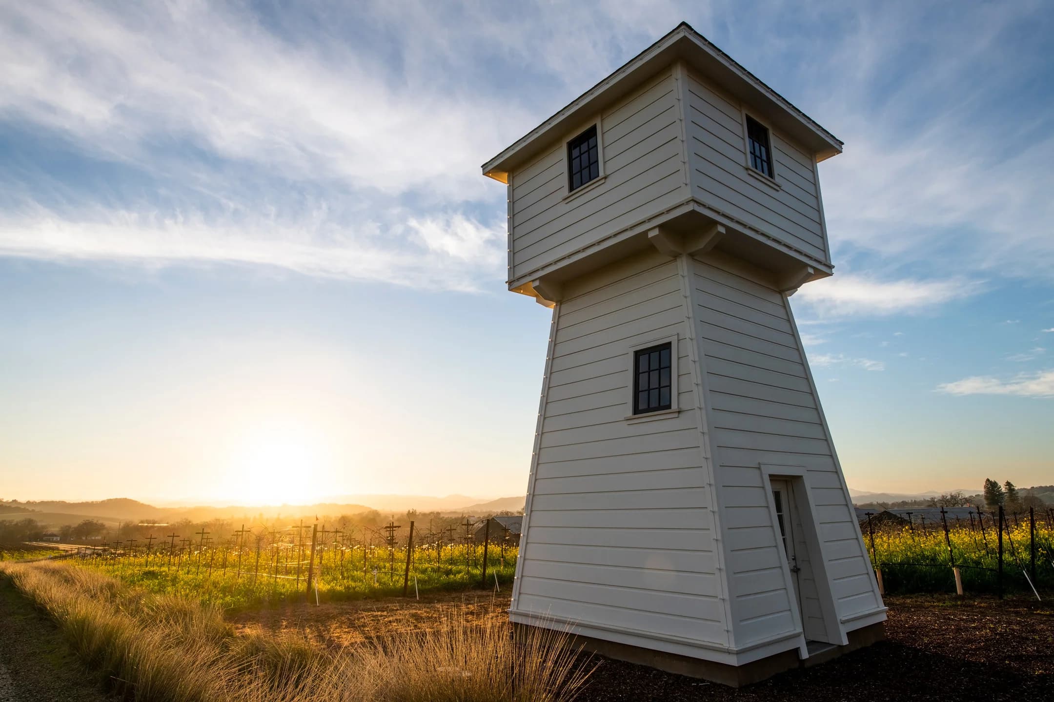 Silver Oak’s water tower rising above sunlit vineyards at sunset