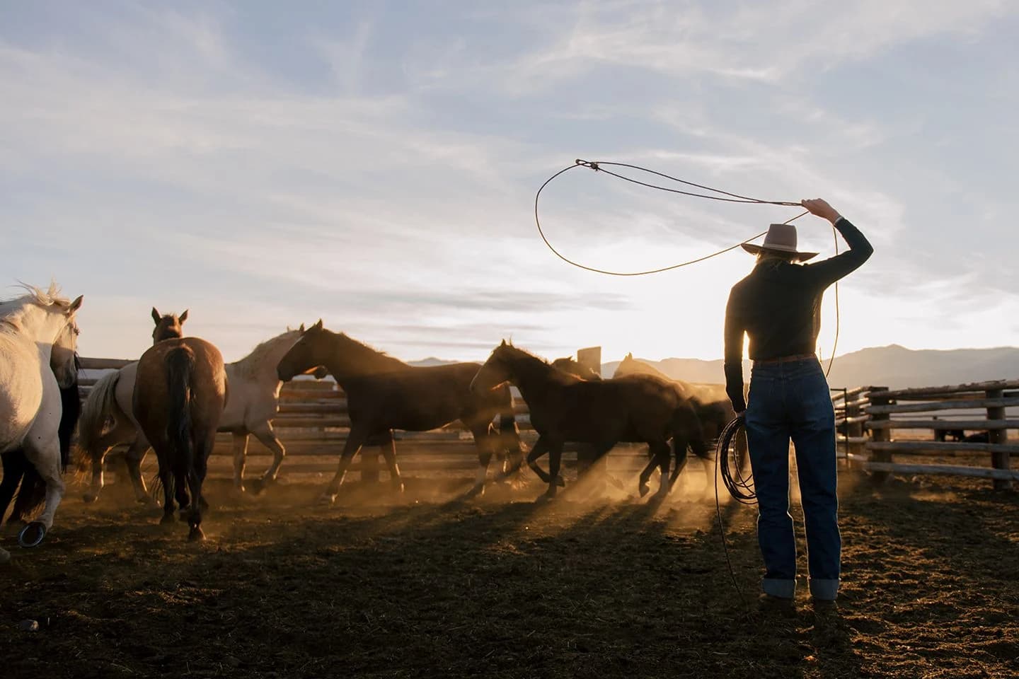 A rider with a lasso among horses at sunset, from Tecovas’ Alderspring Ranch campaign
