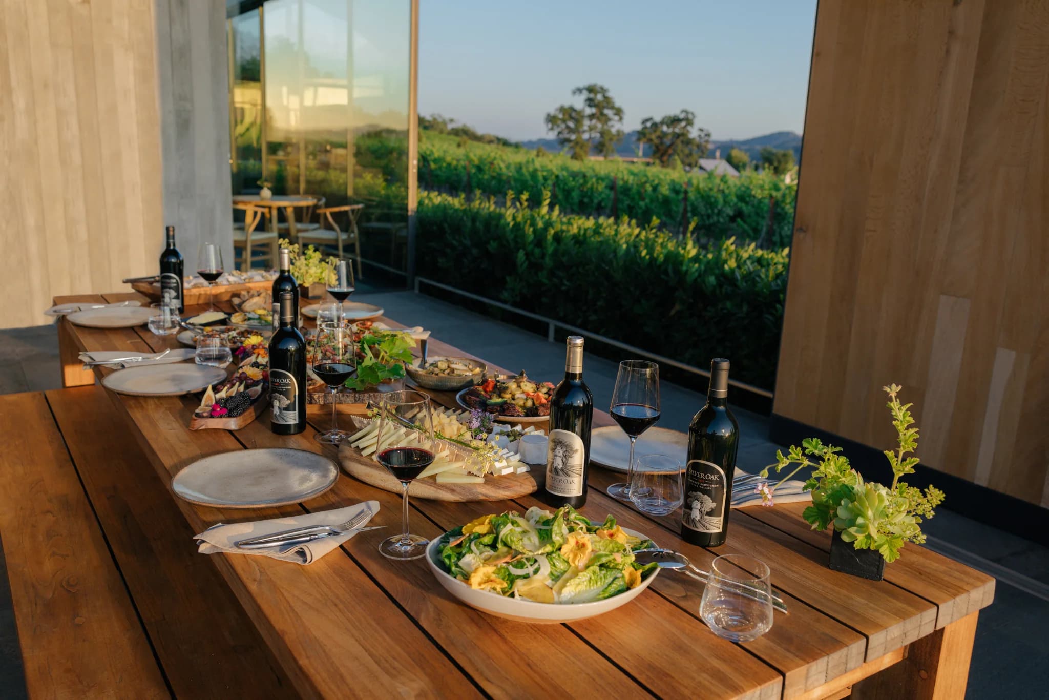 Silver Oak wine tasting experience with vineyard views